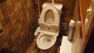 P1010839-2.gif
